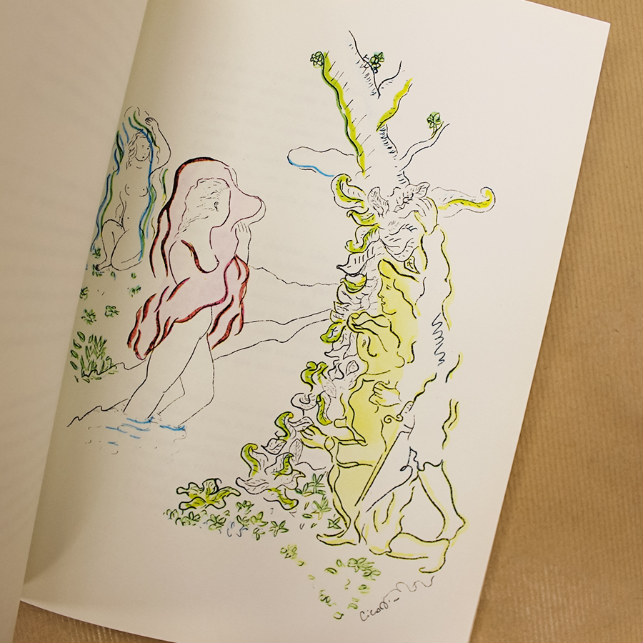 luis camoes-a ilha dos amores-livros usados - alfarrabista-2