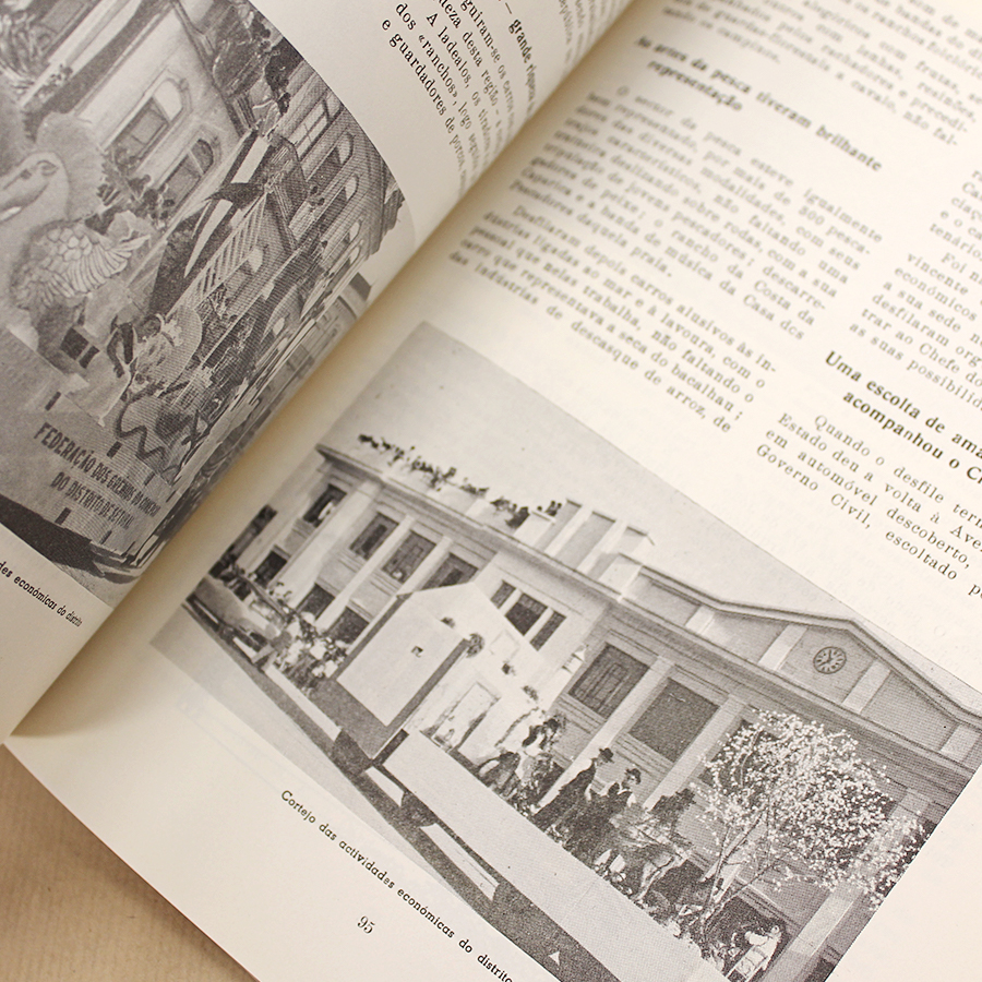 setubal-cidade-centenaria-regionalismo-livros-usados-3