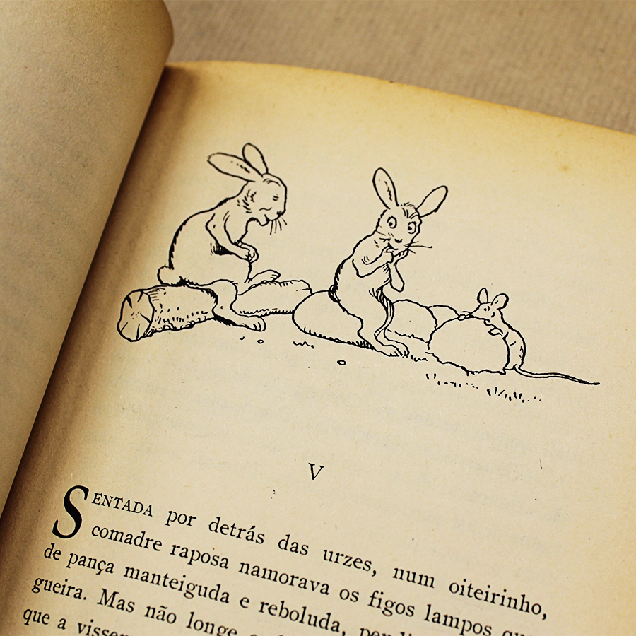 aquilino-ribeiro-romance-da-raposa-livros-usados-4
