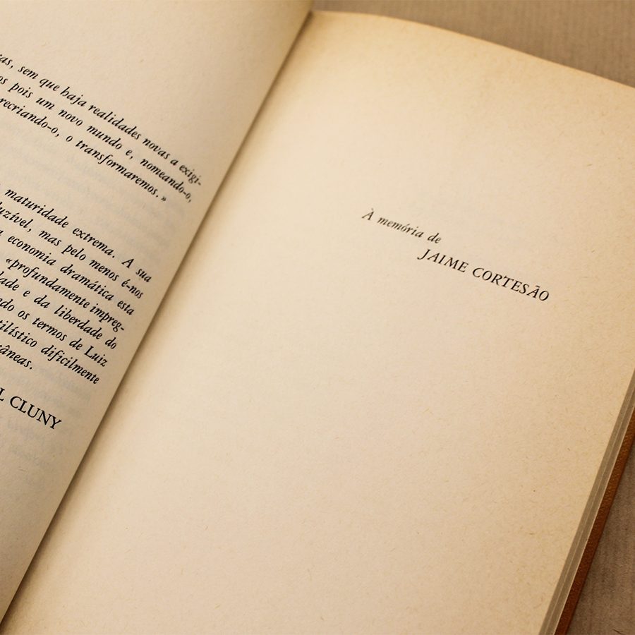 urbano-tavares-rodrigues-bastardos-do-sol-livros-usados-3