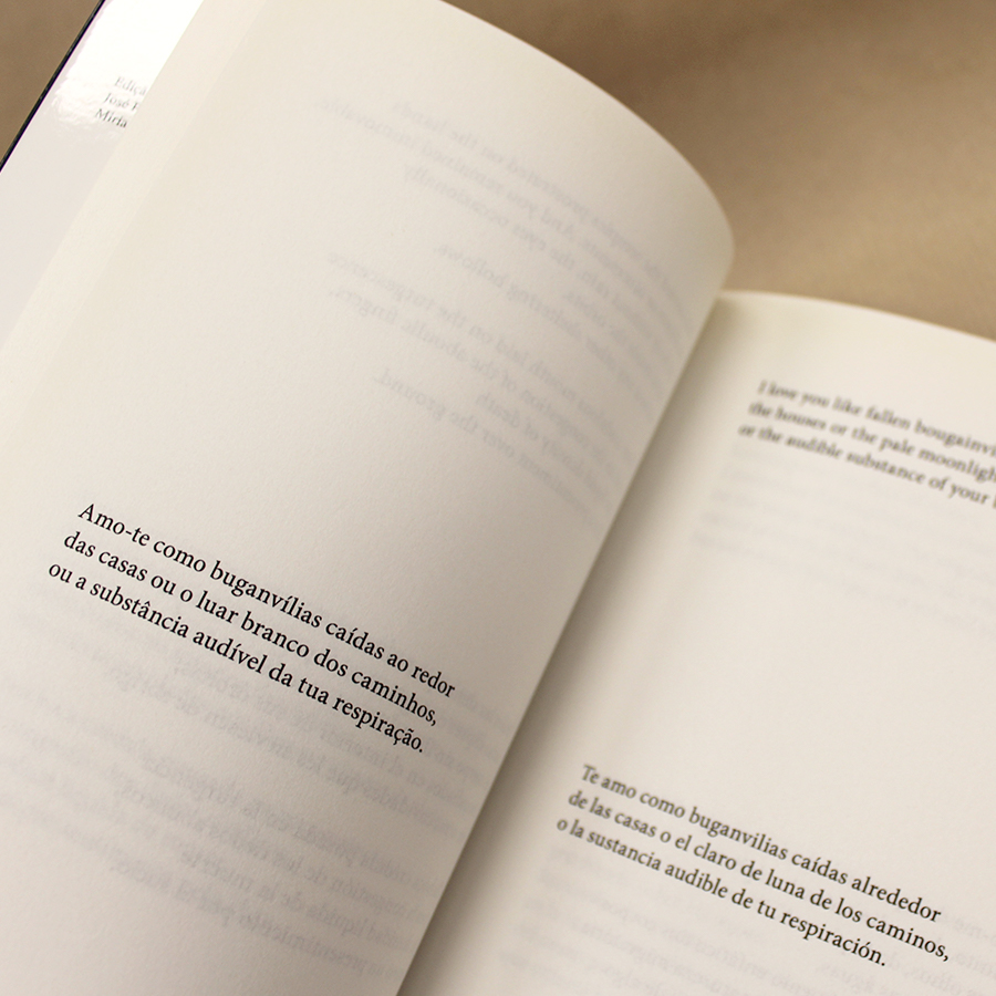 diaspora-jose-rui-teixeira-livros-usados-3