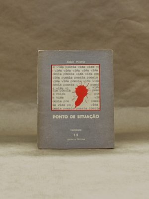 ponto-de-situacao-joao-pedro-lavra-oficinas