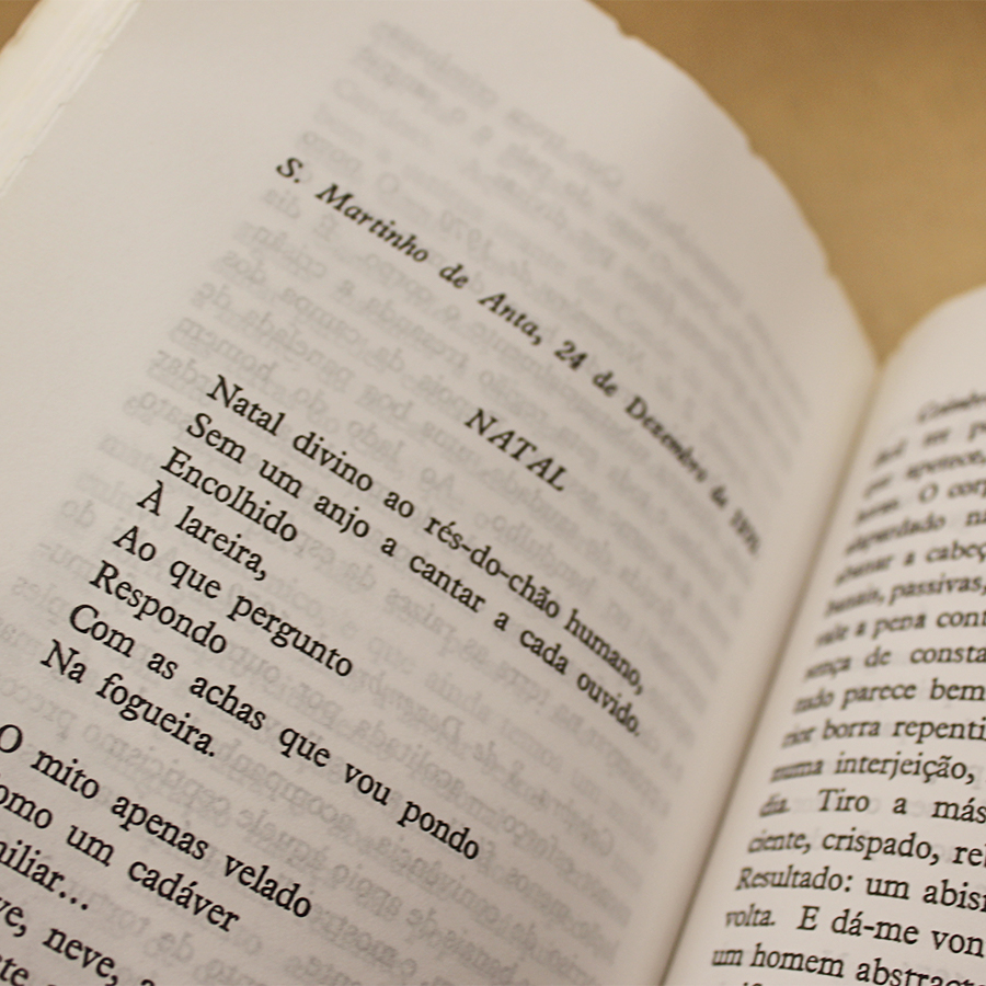 diario-xi-miguel-torga-livros-usados-3