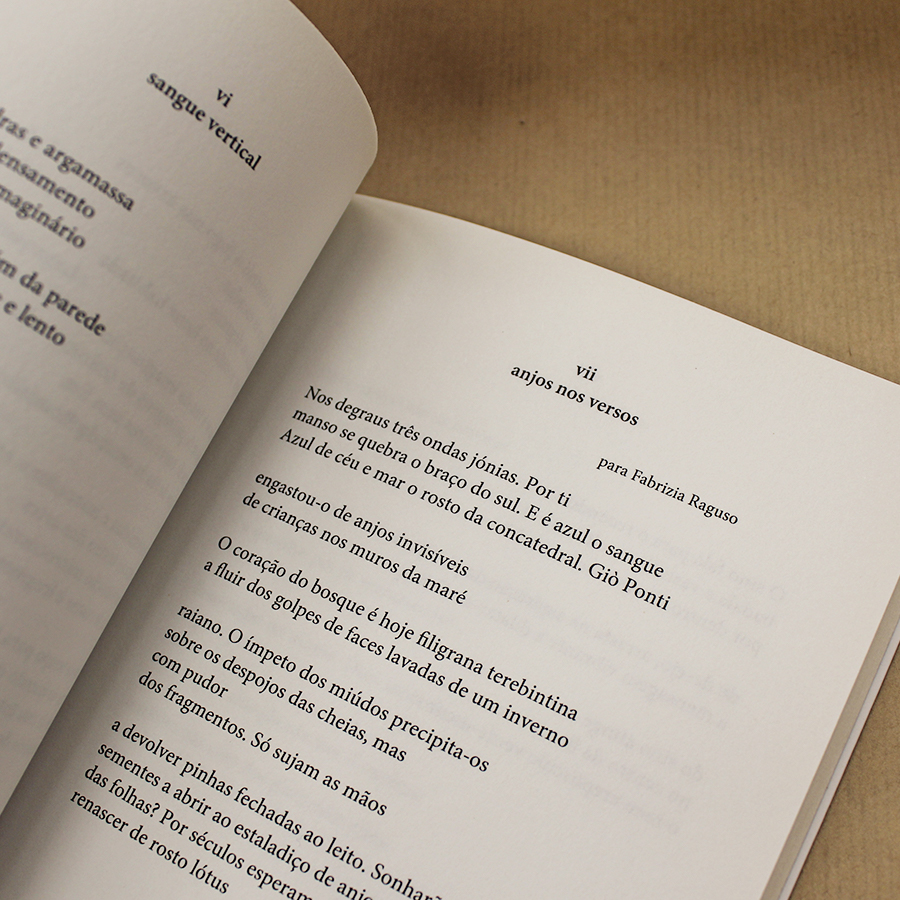 livro-da-deslocacao-joaquim-felix-de-carvalho-4