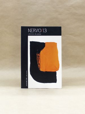 nervo-13-colectivo-de-poesia-1