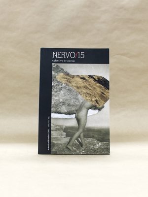 nervo-15-colectivo-de-poesia-1