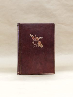 o-livro-de-cesario-verde-poesia-1