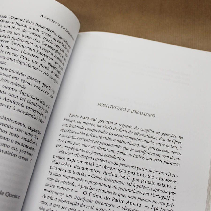 eca-de-queiroz-literatura-e-arte-uma-antologia-beatriz-berrini-3