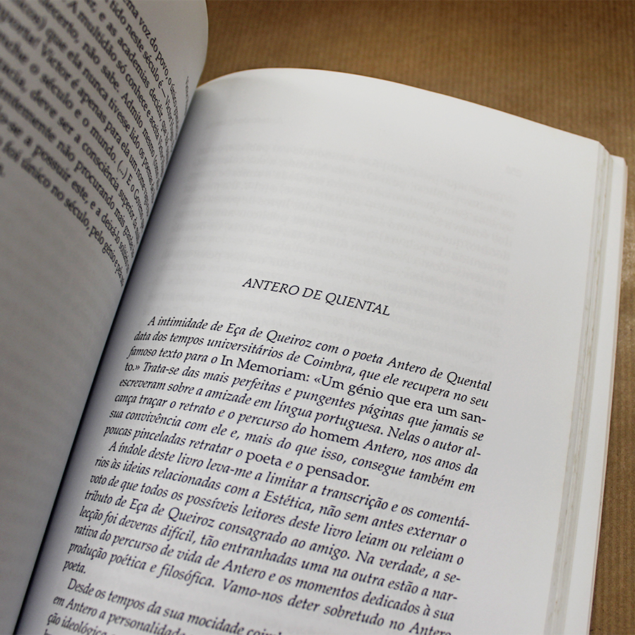 eca-de-queiroz-literatura-e-arte-uma-antologia-beatriz-berrini-4