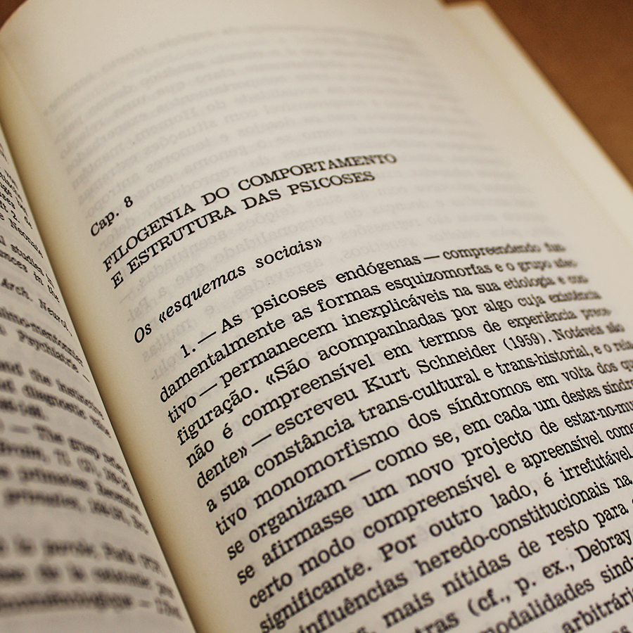 etnologia-e-ciencias-humanas-antonio-bracinha-vieira-3