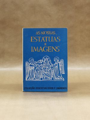 as-nossas-estatuas-e-imagens-marcelo-de-morais-florido-de-vasconcelos-1