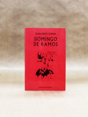 clara-pinto-correia-domingo-de-ramos-1