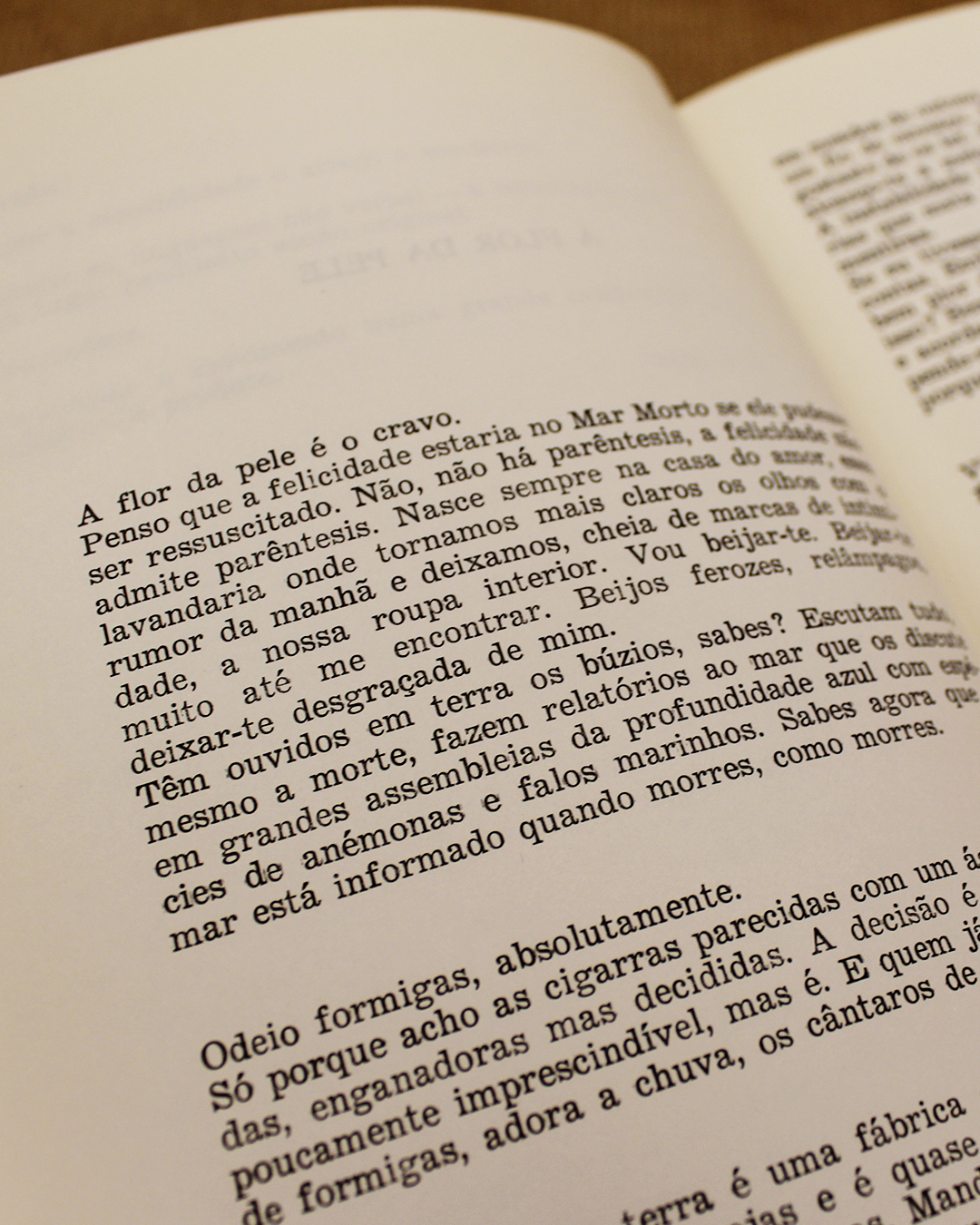 graca-castro-joaquim-pessoa-caderno-de-exorcismos-poesia-1