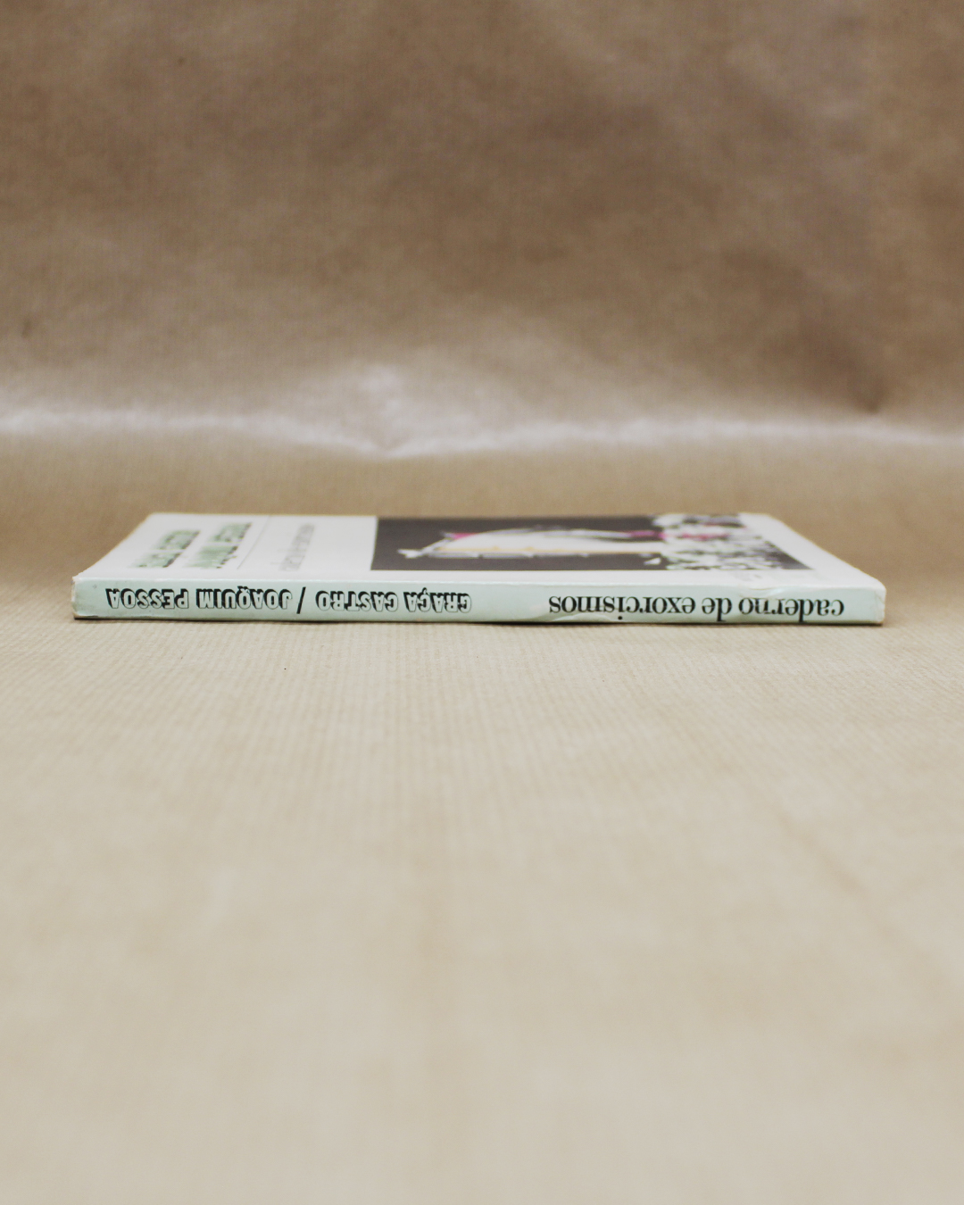 graca-castro-joaquim-pessoa-caderno-de-exorcismos-poesia-2