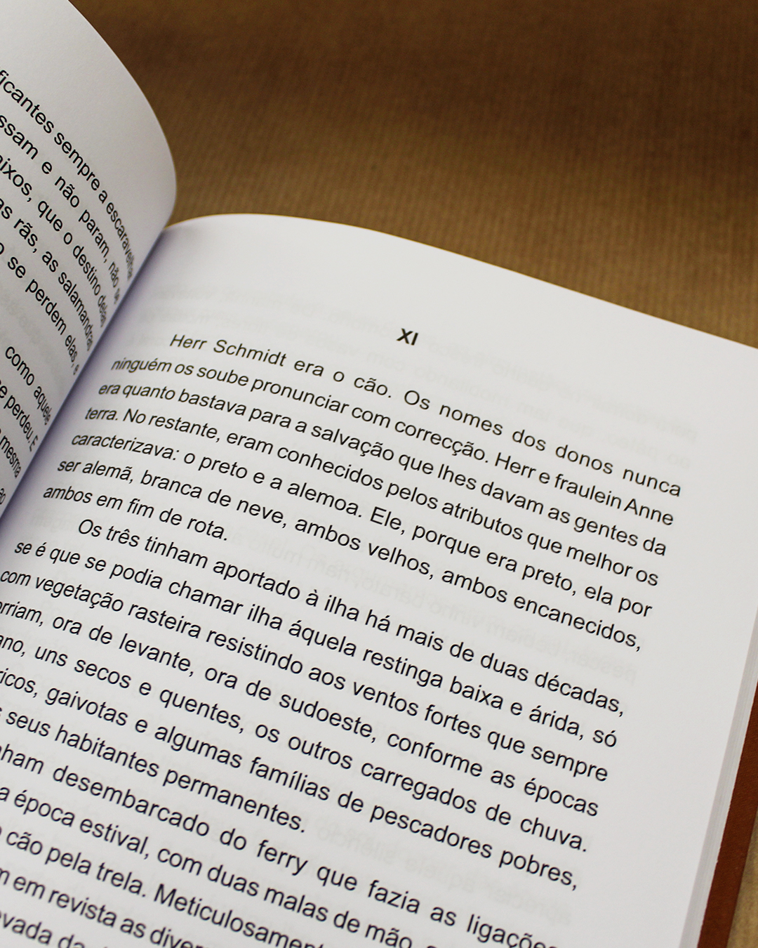 historias-parvas-rogerio-pires-de-carvalho-2