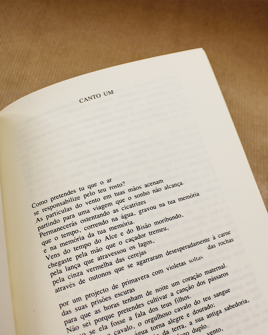 joaquim-pessoa-o-amor-infinito-cantos-1