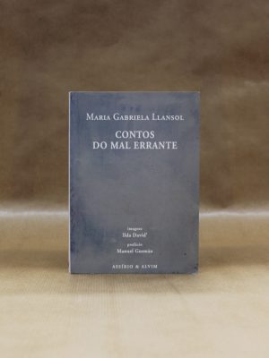 maria-gabriela-llansol-contos-do-mal-errante-1