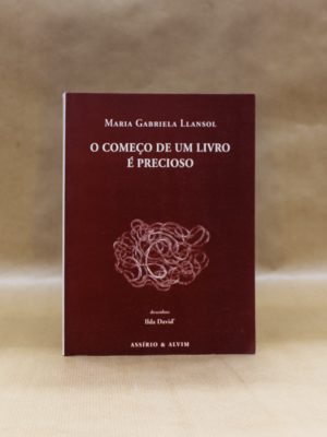 o-comeco-de-um-livro-e-precioso-maria-gabriela-llansol-1