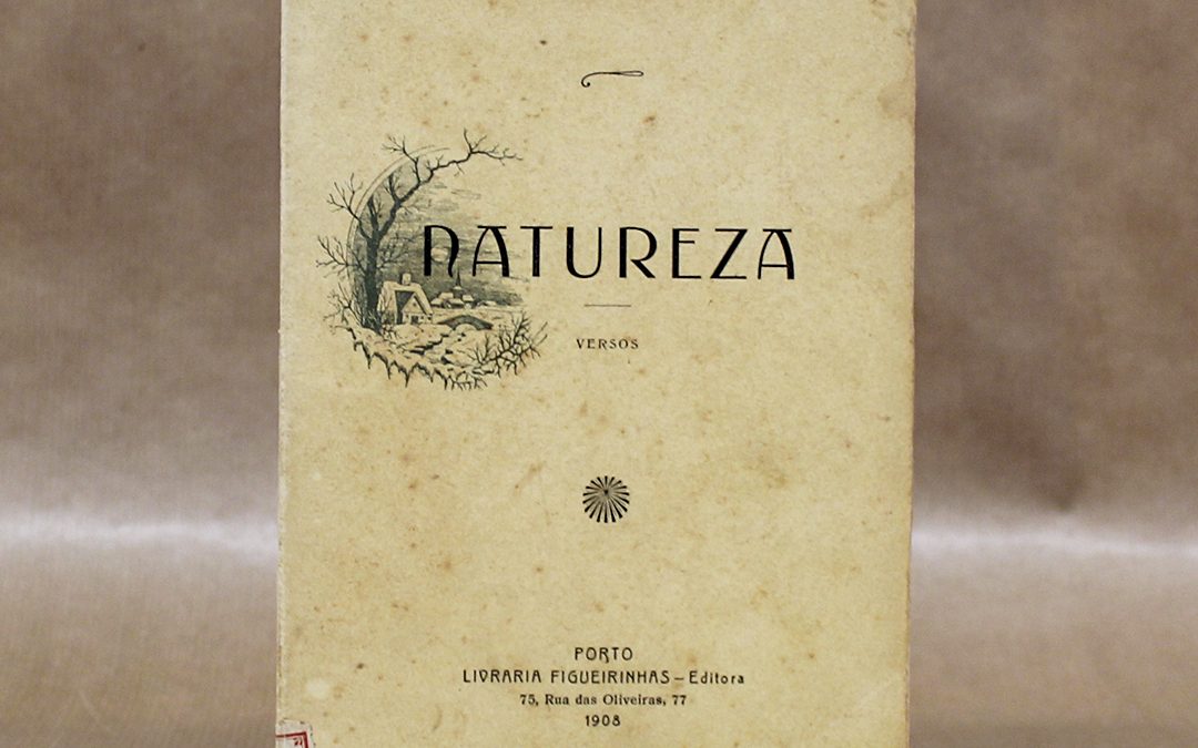 vidal-oudinot-natureza-versos-poesia-4