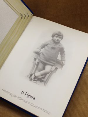cruzeiro-seixas-o-figura-5