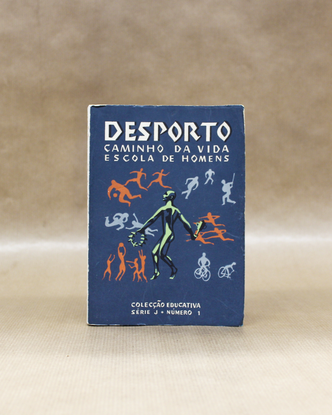 desporto-caminho-da-vida-escola-de-homens-jose-olimpio-1 desporto-caminho-da-vida-escola-de-homens-jose-olimpio-1