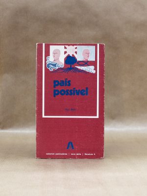 pais-possivel-ruy-belo-1