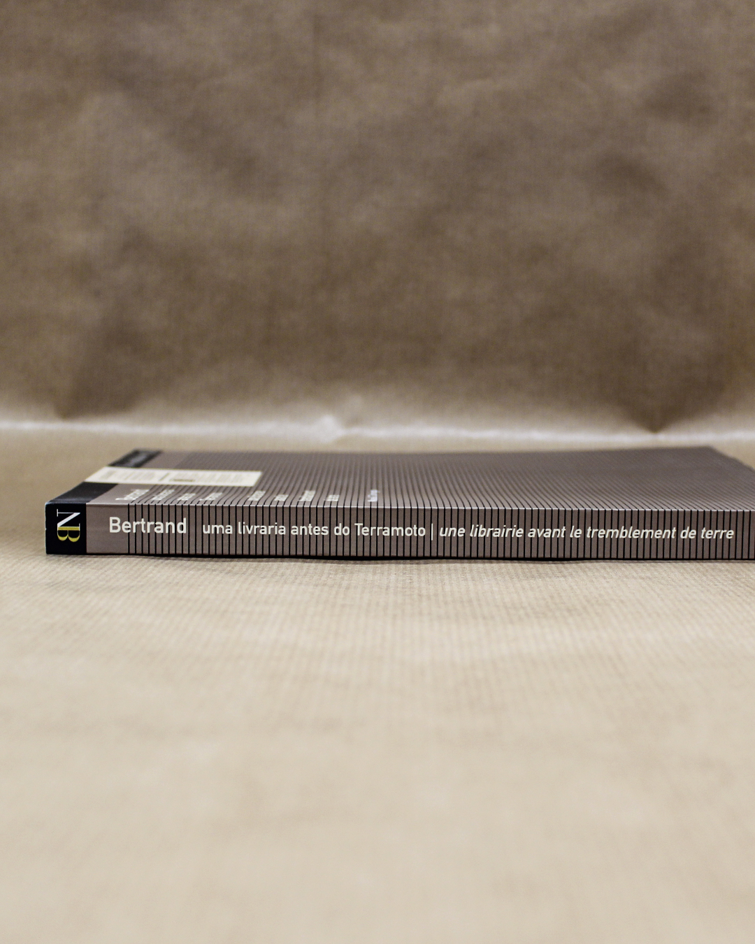 bertand-uma-livraria-antes-do-terramoto-2