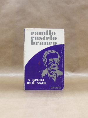 camilo-castelo-branco-a-queda-dum-anjo-1