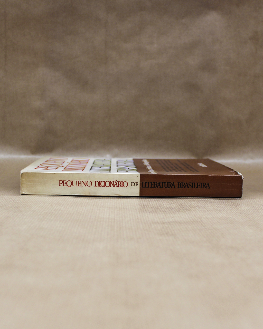 pequeno-dicioniario-literatura-brasileira-2