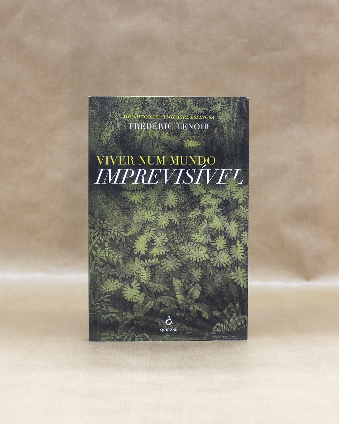 frederic-lenoir-viver-num-mundo-imprevisivel-1 frederic-lenoir-viver-num-mundo-imprevisivel-1