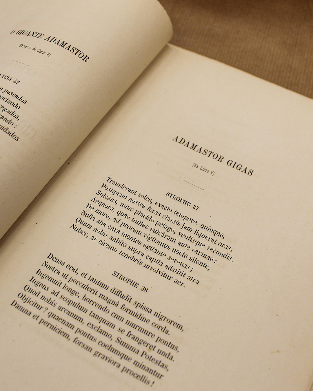 excerptos-lusiadas-antonio-jose-viale-2