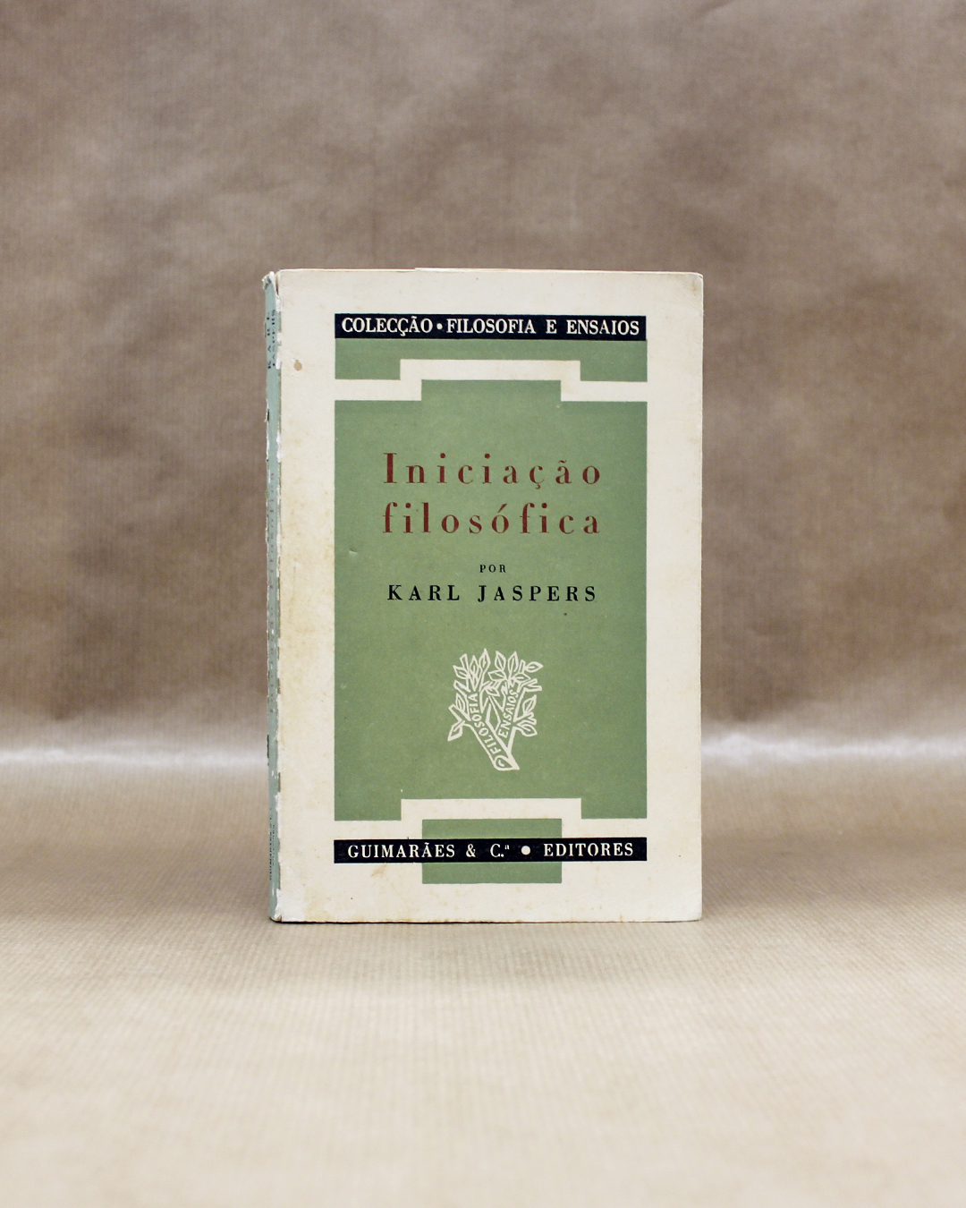 iniciacao-filosofica-karl-jaspers-1