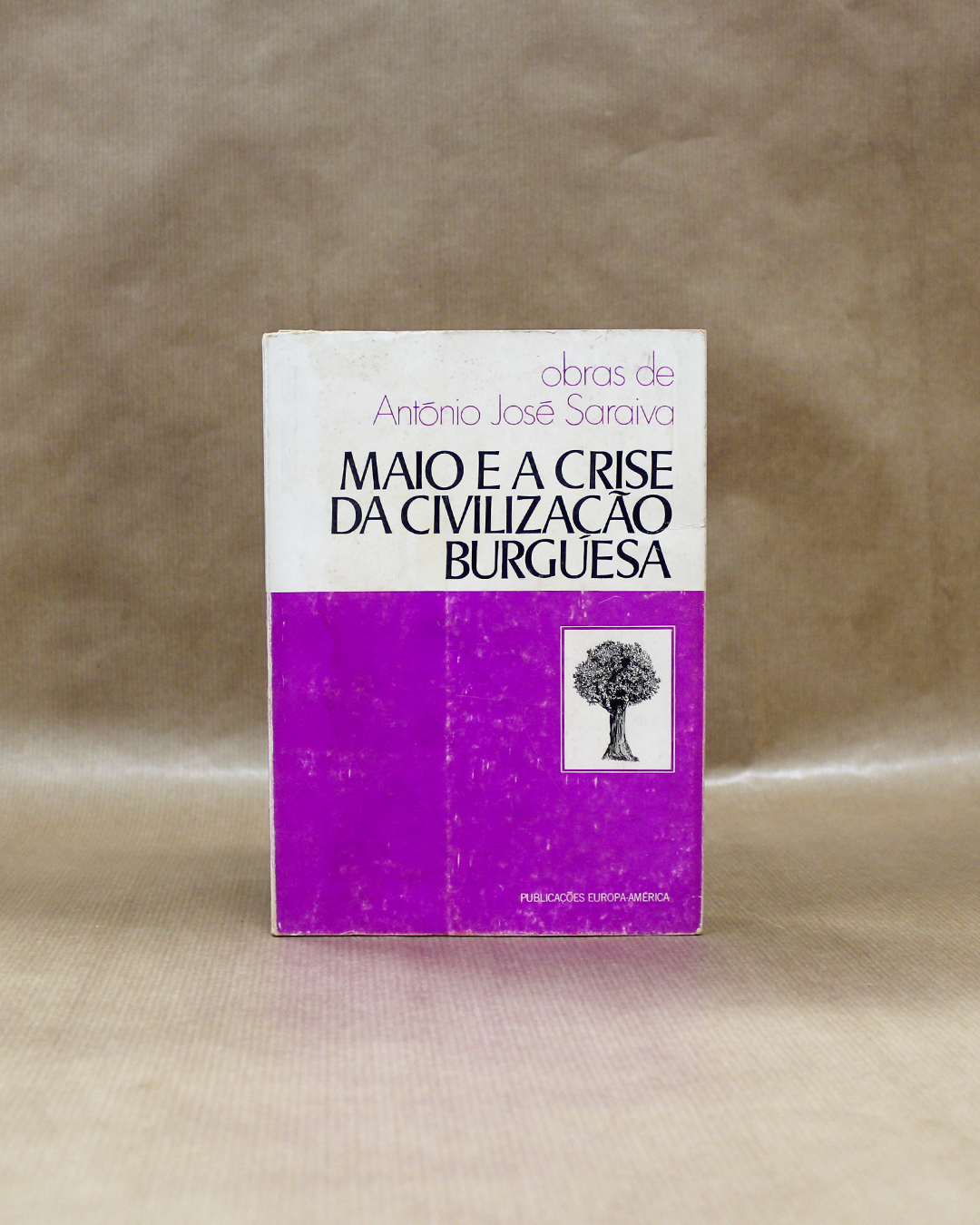 antonio-jose-saraiva-maio-e-a-crise-da-civilizacao-burguesa-1 antonio-jose-saraiva-maio-e-a-crise-da-civilizacao-burguesa-1