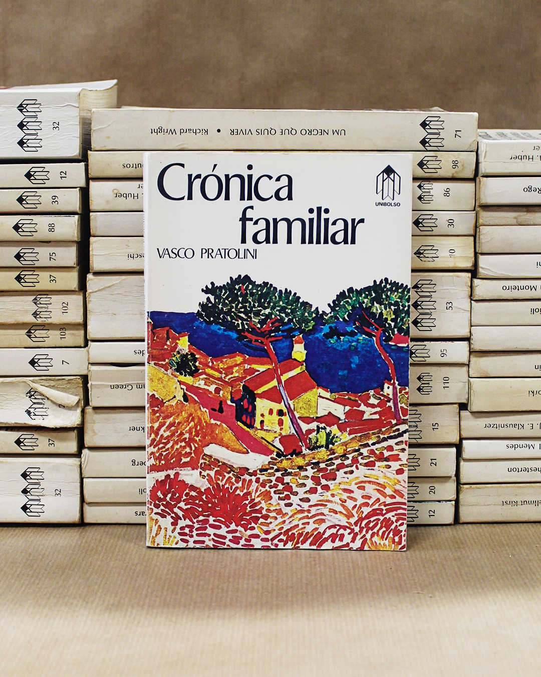 cronica-familiar-livros-unibolso cronica-familiar-livros-unibolso