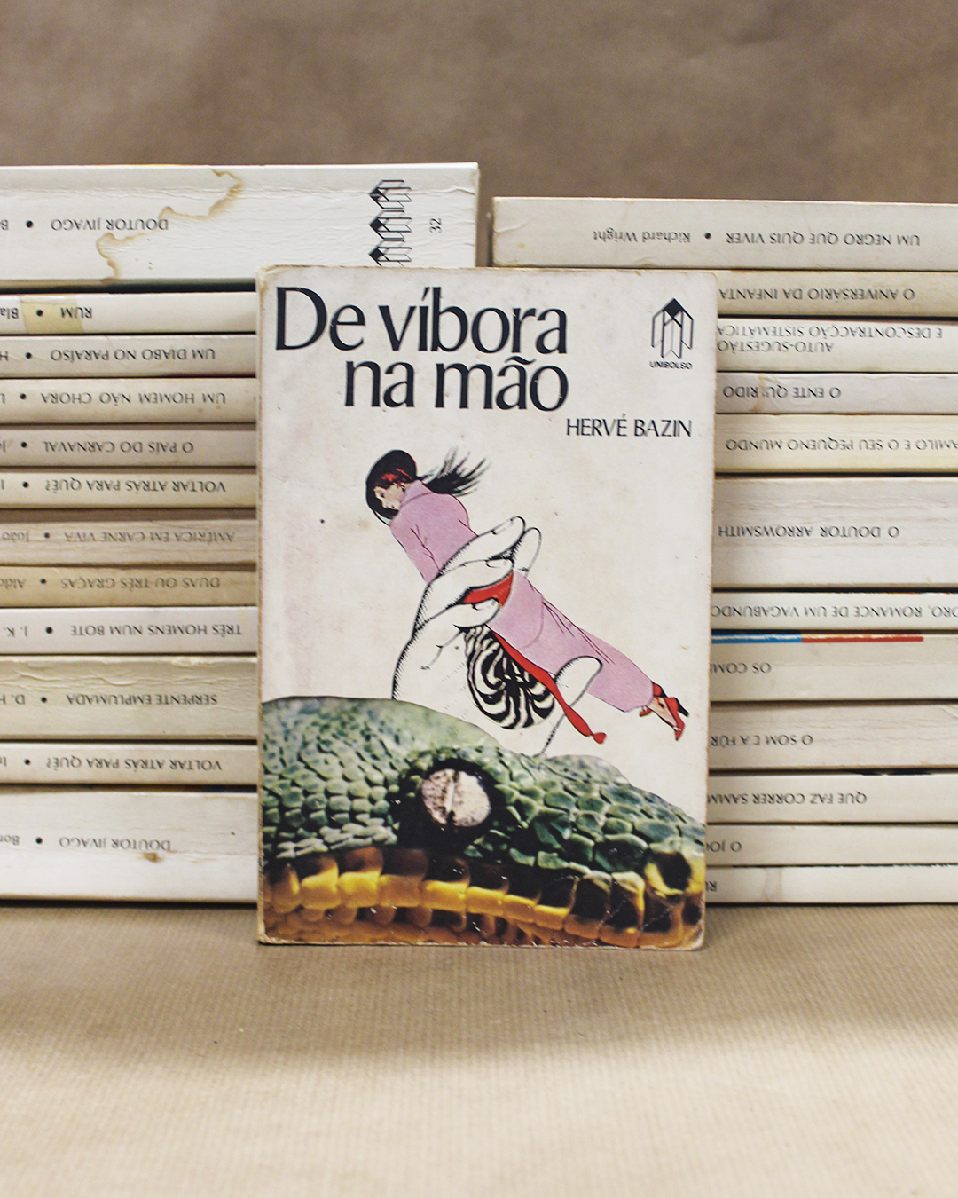 de-vibora-na-mao-livros-unibolso de-vibora-na-mao-livros-unibolso