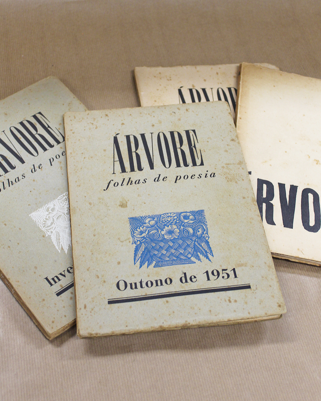 arvore-revistas-folhas-de-poesia-4