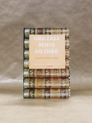 uma-casa-rente-ao-chao-joaquim-anotnio-emidio-2