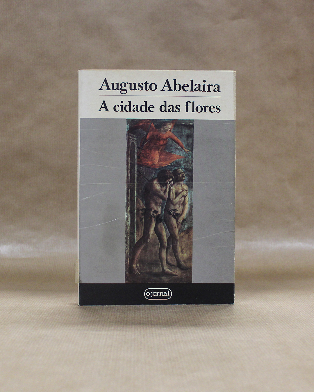 augusto-abelaira-cidade-das-flores-1