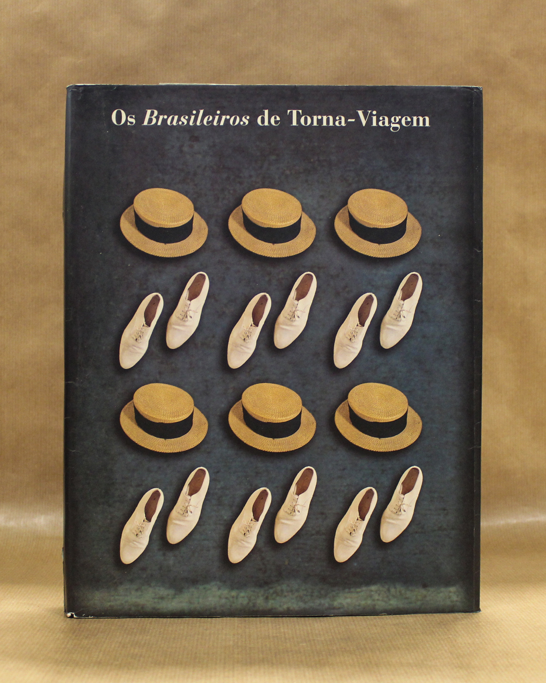 brasileiros-torna-viagem-2