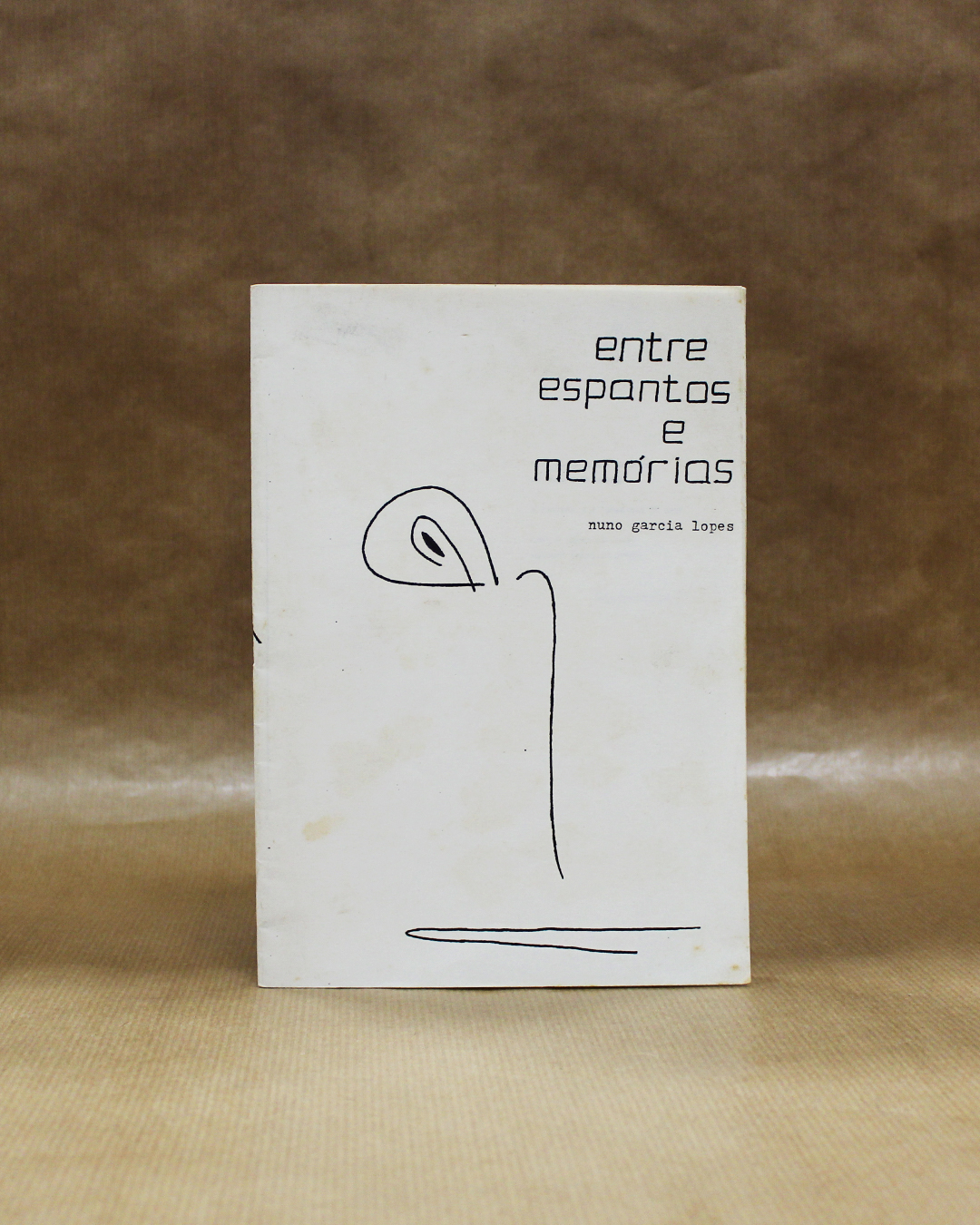 entre-espantos-e-memorias-nuno-garcia-lopes-2