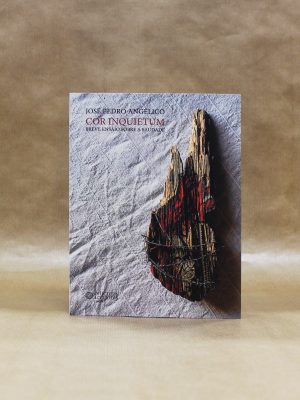 jose-pedro-angelico-cor-inquietum-2