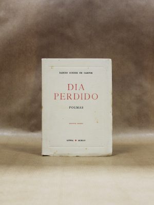 dia-perdido-poemas-ramiro-campos
