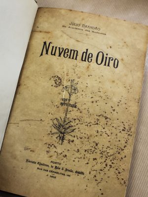 nuvem-de-oiro-julio-brandao-1
