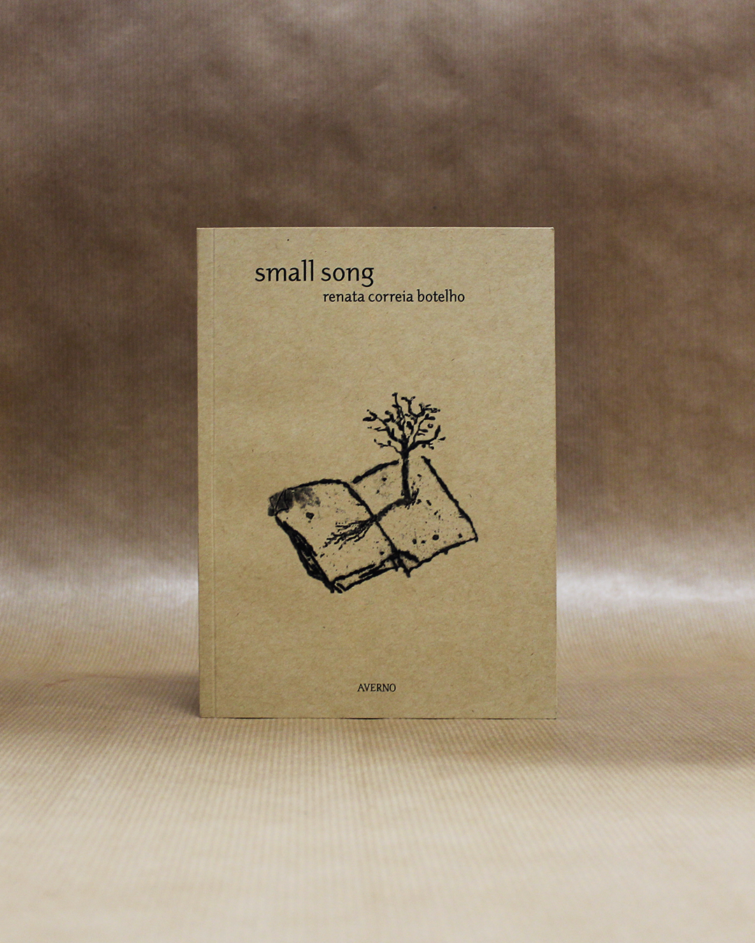 small-song-renata-correia-botelho-1 small-song-renata-correia-botelho-1