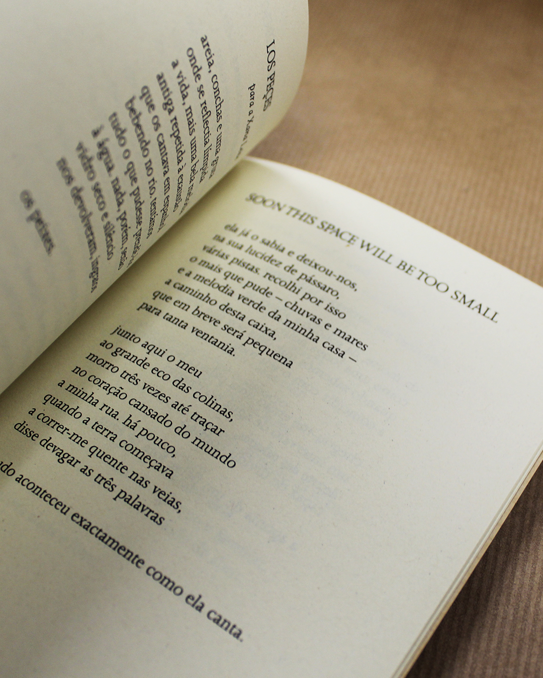 small-song-renata-correia-botelho-3