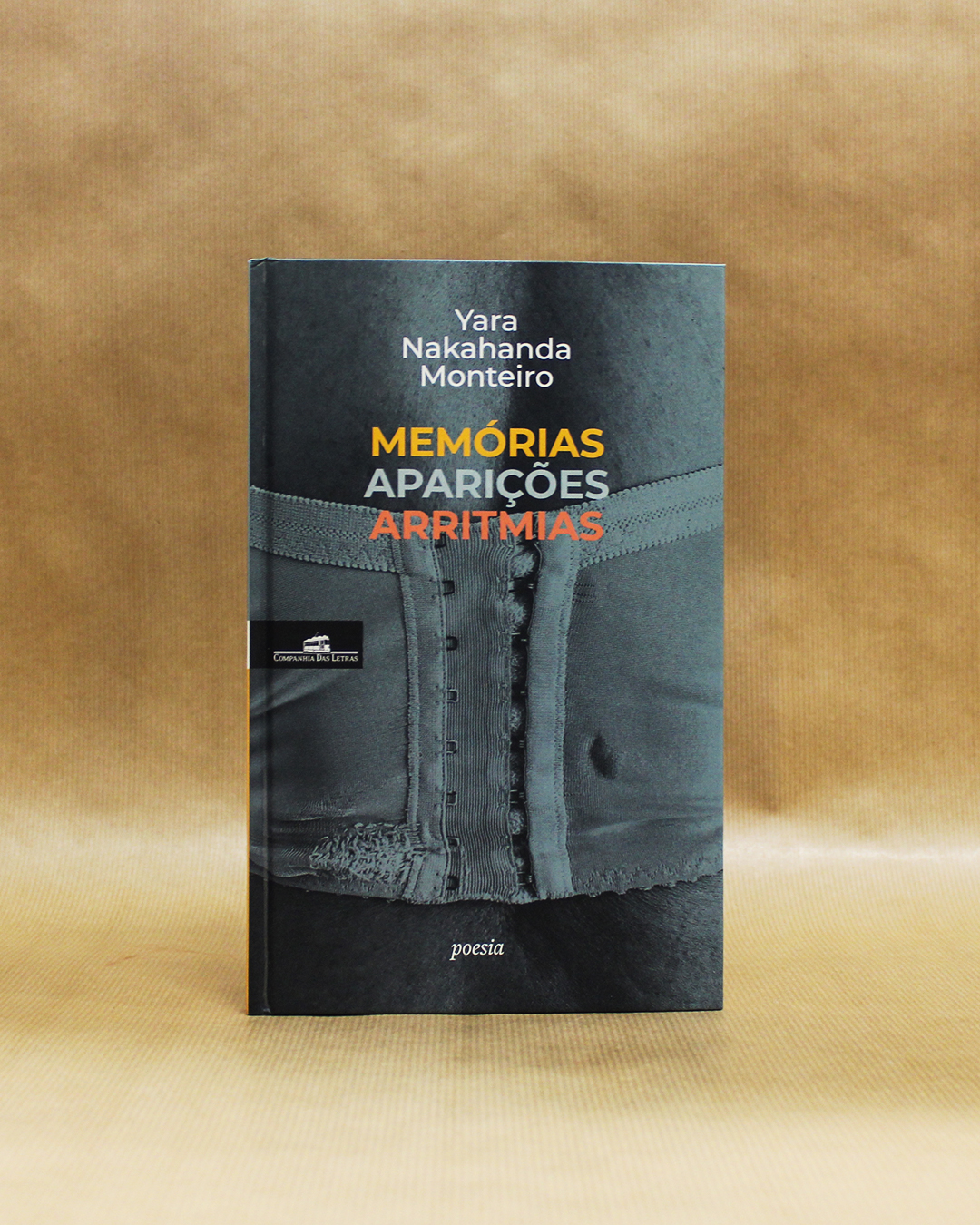 yara-nakahanda-monteiro-memorias-aparicoes-arritmias-1 yara-nakahanda-monteiro-memorias-aparicoes-arritmias-1